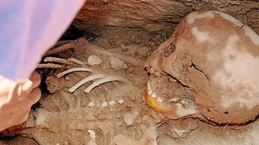 Un dels esquelets localitzats durant l&#039;excavació de Camps