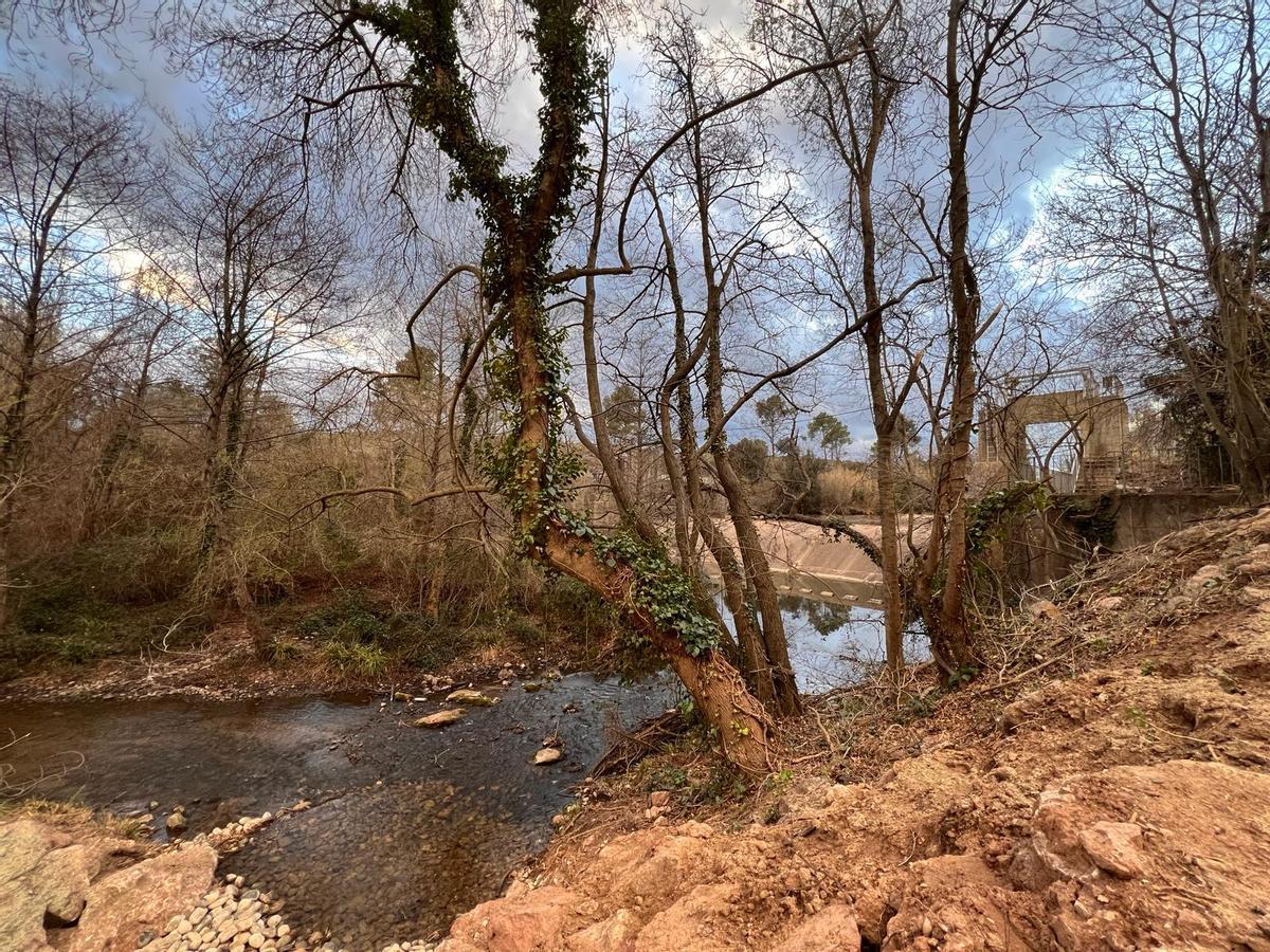 La Muga, al seu pas per Pont de Molins.