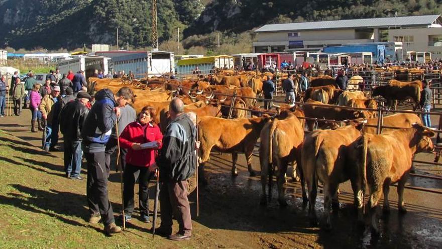 Buenas ventas en la feria de la Candela de Proaza