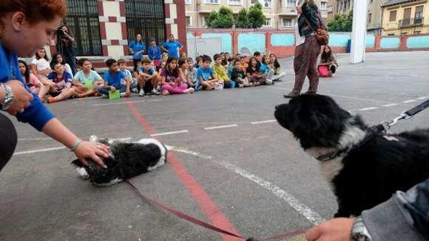 Visita canina a los niños del programa &quot;Movámonos xuntos&quot; en Mieres