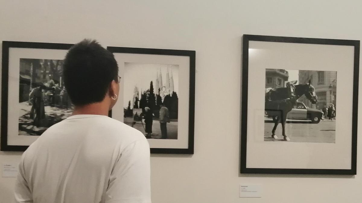 Un visitante de la muestra sobre Léonard en el Réattu, ante fotos tomadas en Barcelona.