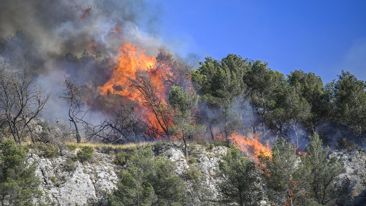 Marsella, la segunda ciudad de Francia, asediada por un violento incendio forestal