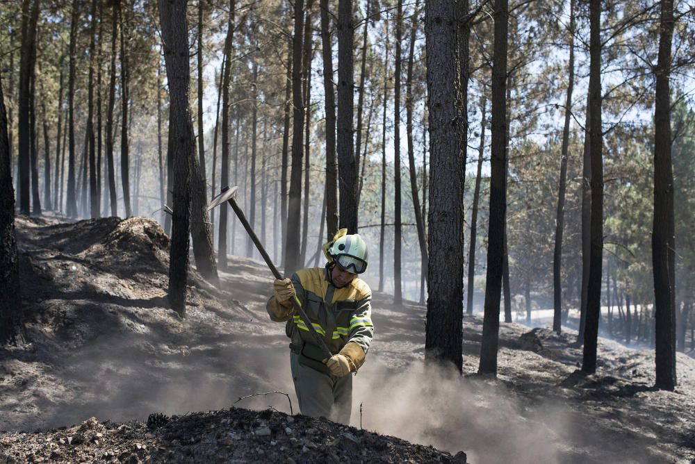 El incendio ha arrasado la zona de Verín.