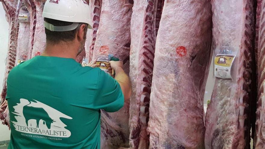 Las carnes de la IGP Ternera de Aliste cautivan a comensales de Castilla y León, Valencia y Lisboa