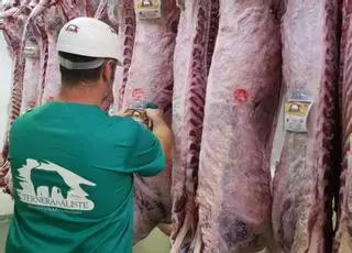 Las carnes de la IGP Ternera de Aliste cautivan a comensales de Castilla y León, Valencia y Lisboa