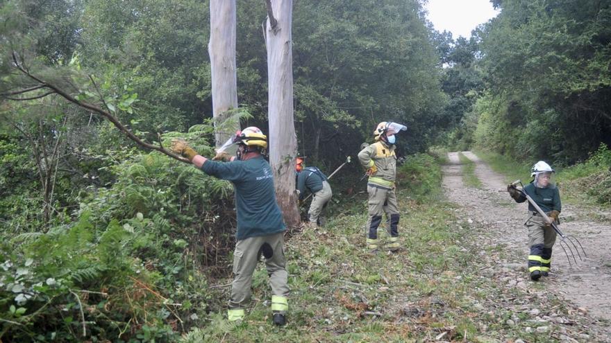 Medio Rural urge a 280.000 gallegos a limpiar sus fincas ante un verano &quot;muy complicado&quot;