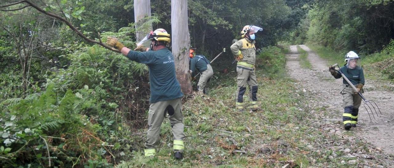 Desbroce de una pista en Moaña por parte del Servicio de Prevención y Defensa contra Incendios Forestales de la Xunta. |   // RAFA VÁZQUEZ