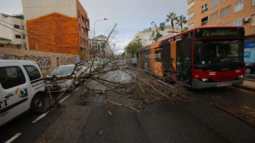 Valencia cierra sus parques y jardines por el fuerte viento