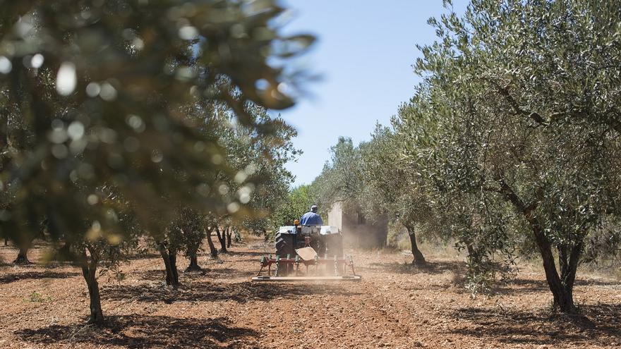 La Junta invierte más de 300 millones de euros en fomentar el relevo generacional y actualizar la maquinaria del campo