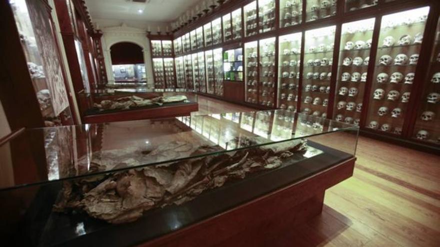 Una visita guiada por las momias del Museo Canario