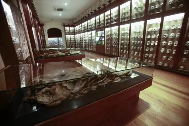 Una visita guiada por las momias del Museo Canario