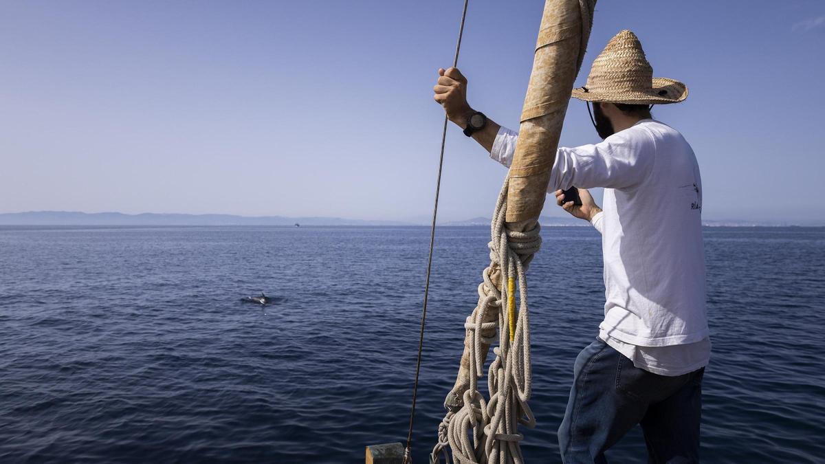 Sergi R. Basolí, el capitán del 'Ría de Ferrol', observa a un grupo de delfines listados en su última salida en busca de ballenas, este martes.