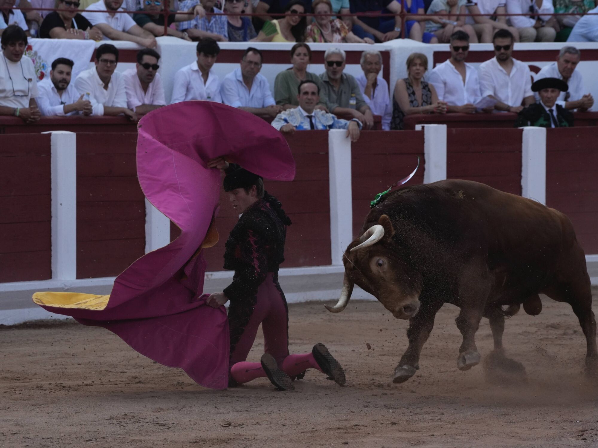 Las mejores imágenes de la feria taurina de San Pedro en Zamora.