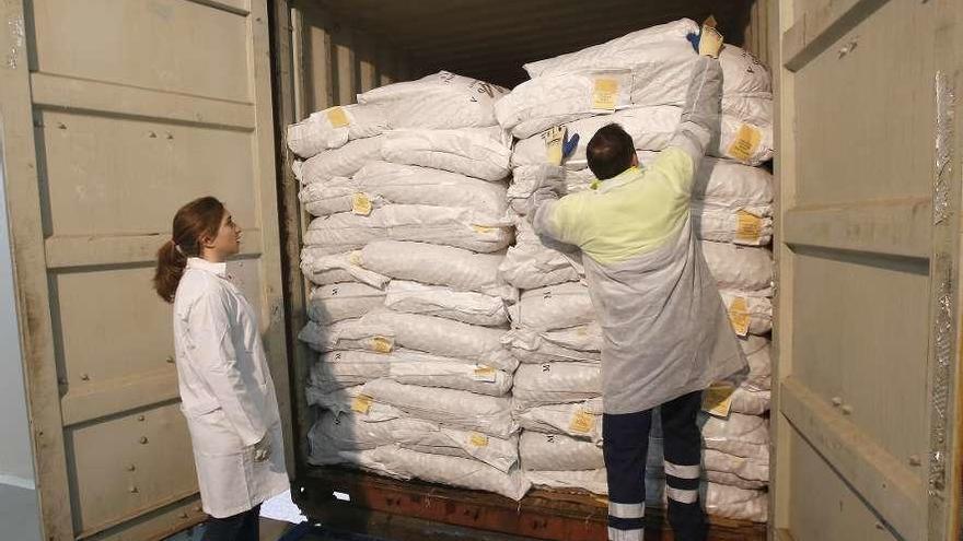 Agricultura se retracta y levanta el veto a la entrada de harina en el Puerto de Vigo