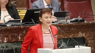 "Dejan colapsar la sanidad pública para abrir negocio en la privada"