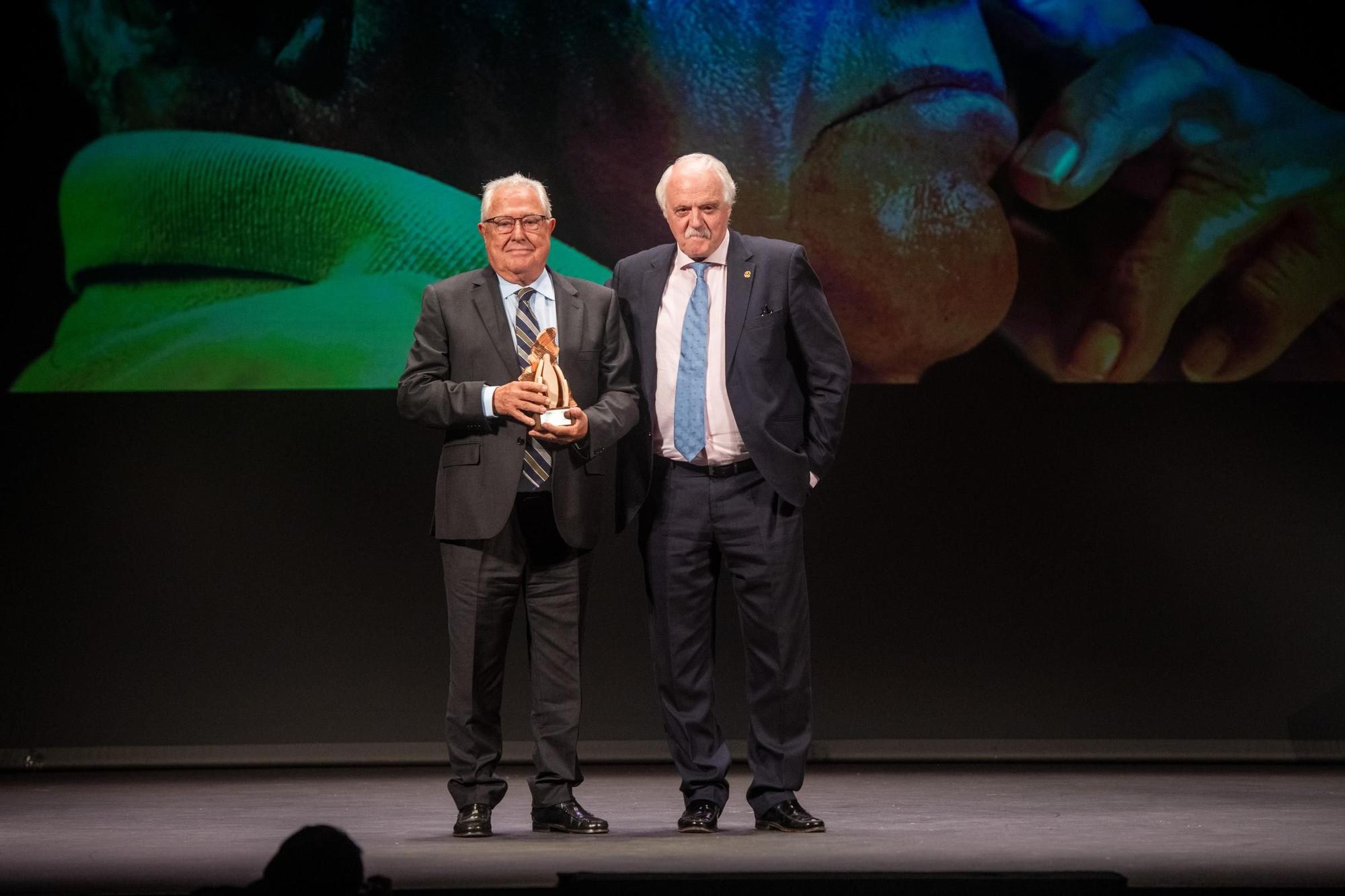 La Unión Profesional Sanitaria celebra en Elche la X Gala de la Salud