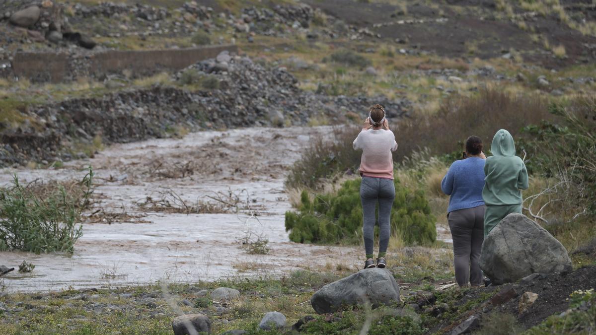 Las imágenes de la borrasca Therese en Gran Canaria (21/03/26)