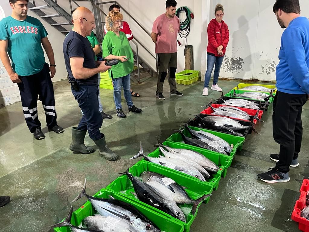 Casa Poli, de Puertas de Vidiago, se lleva el primer bonito de la costera de Llanes, a catorce euros el kilo