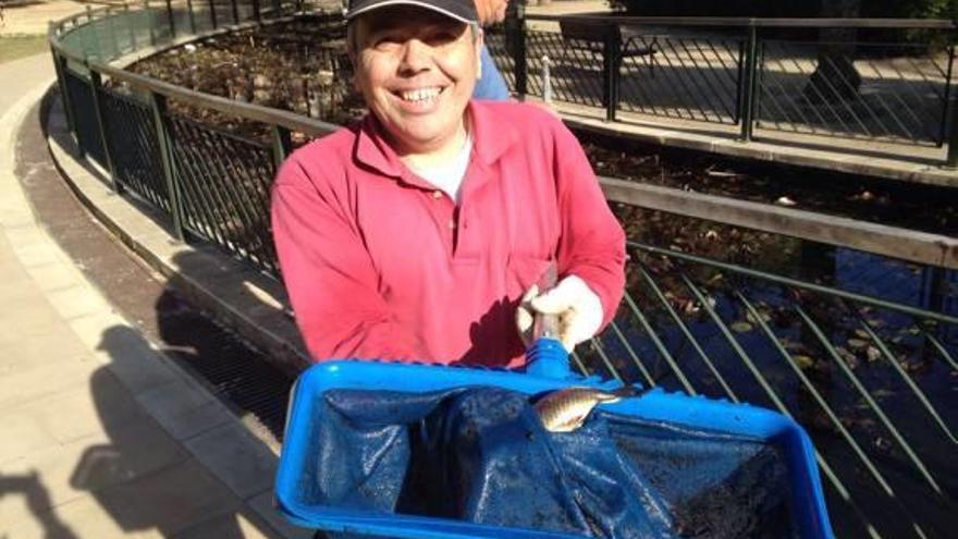 Trasladan los peces de Sant Pere al parque Ausiàs March para reparar el anillo de agua