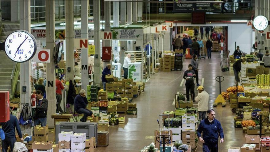 Mercatenerife se consolida como motor clave para la soberanía alimentaria y el sector primario insular