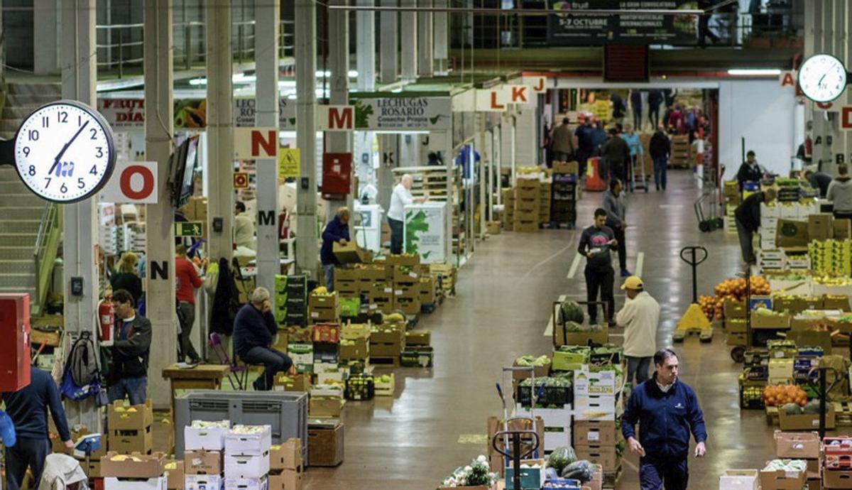 La Nave de Producto Local de Mercatenerife cuenta con 406 puestos dedicados exclusivamente a la producción insular.