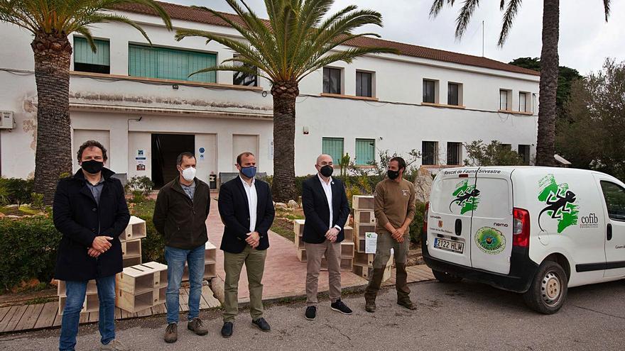 Baleares e Ibiza pasan la pelota de la plaga de serpientes al Gobierno central