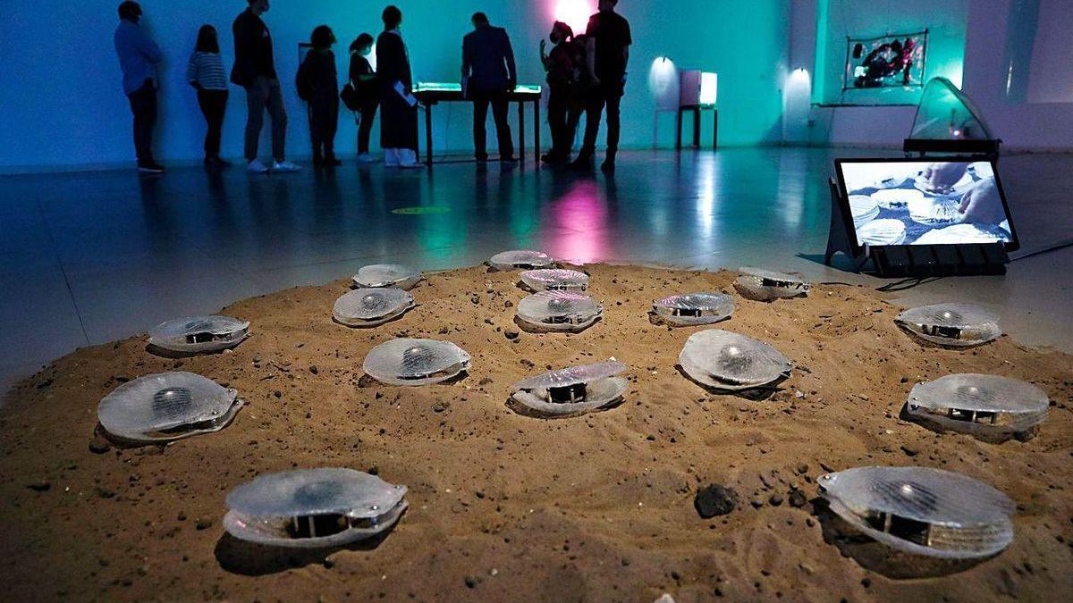 La obra de Marco Barotti en Laboral Centro de Arte, unas almejas robóticas que miden la contaminación del río Piles de Gijón, ayer, en su primer día de exposición