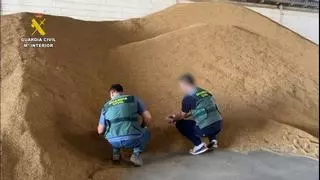 Tres detenidos en Córdoba y Sevilla por robar 160.000 kilos de arroz de una cooperativa