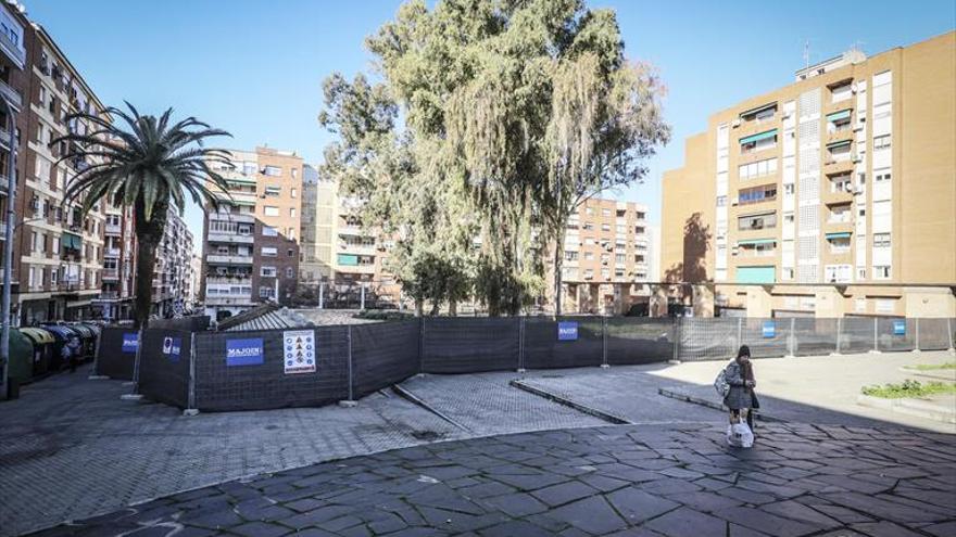 Vecinos de Santa Marta sostienen que los eucaliptos son un «peligro»