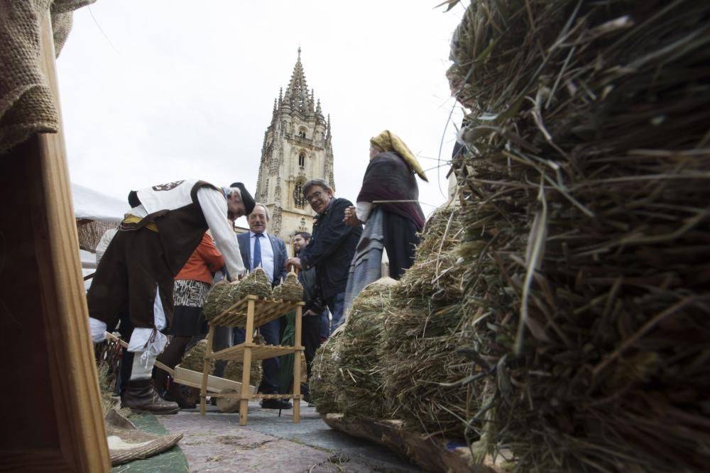 Feria de La Ascensión en la plaza de la Catedral de Oviedo