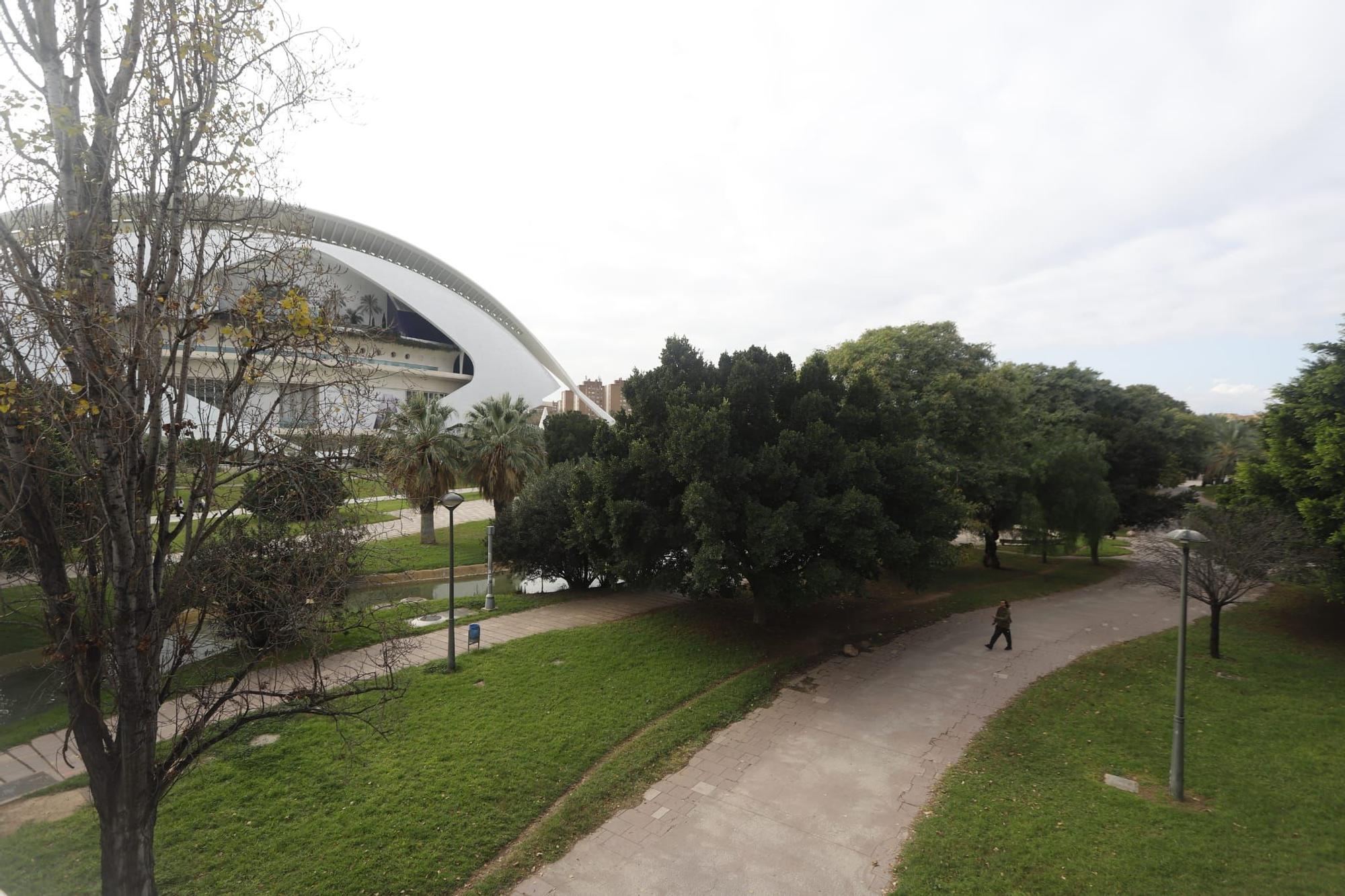 El nuevo espacio para ver los Castillos de Fallas