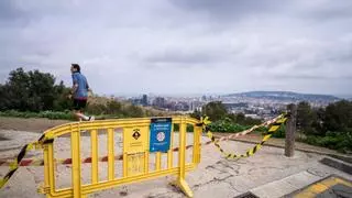 Collserola cierra por la peste porcina: estos son los espacios naturales de Barcelona cerrados este fin de semana