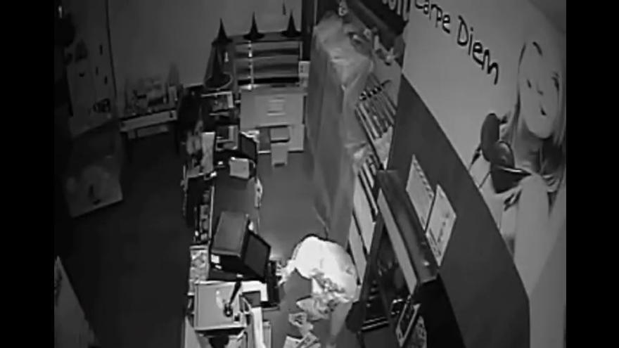 Desmantelado un grupo criminal que robaba en locales de una cadena de frutos secos aragonesa