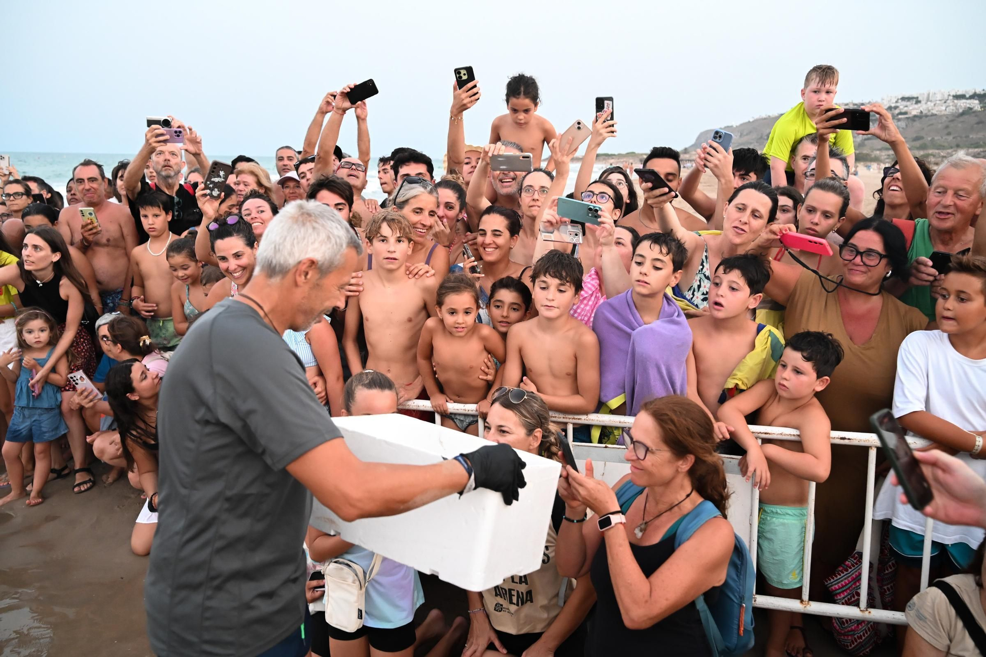 Gran expectación en Arenales del Sol por la suelta de 57 tortugas bobas recién nacidas