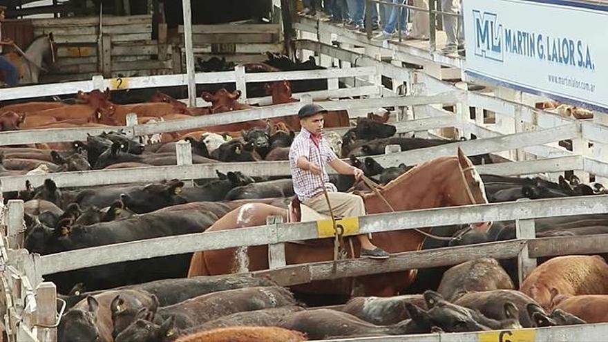 La otra cara de la carne argentina