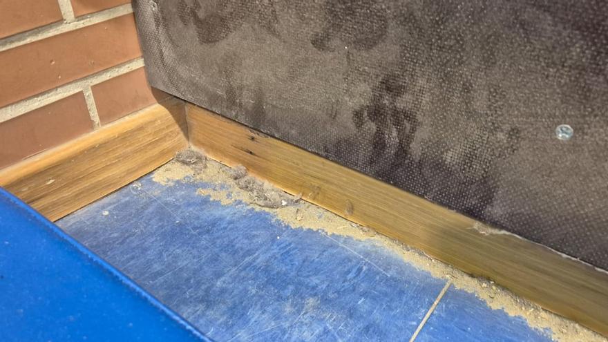 Suciedad denunciada públicamente por padres en el colegio Jacarandá de Sevilla.