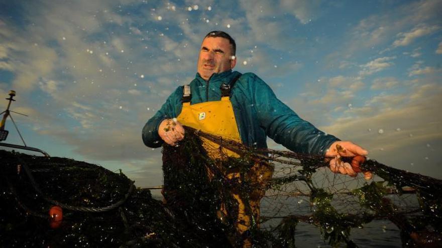 La pesca del choco en Cambados. |   //  IÑAKI ABELLA