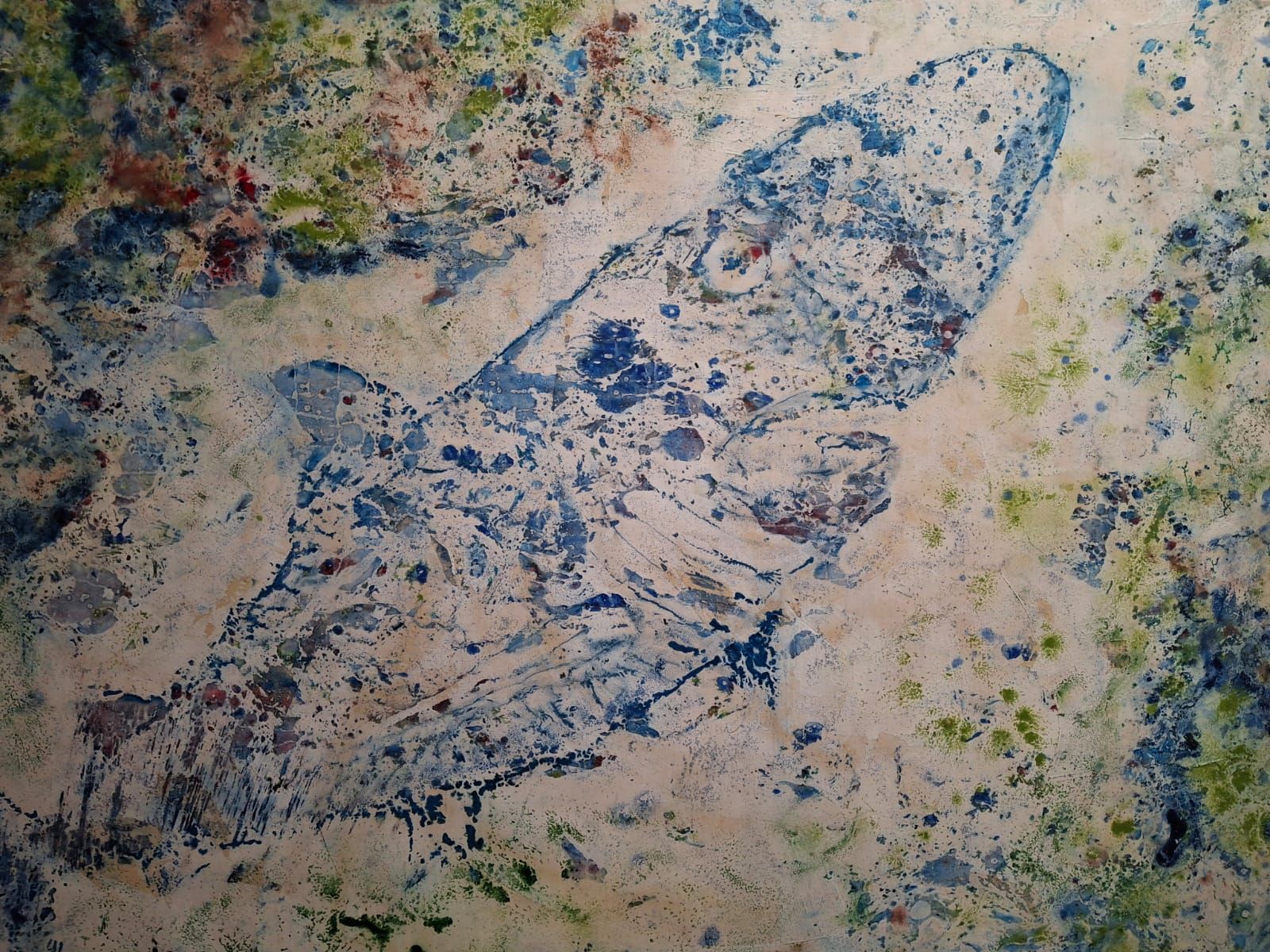 El fascinante universo marino de Ximo Canet llega a Pedreguer (imágenes)