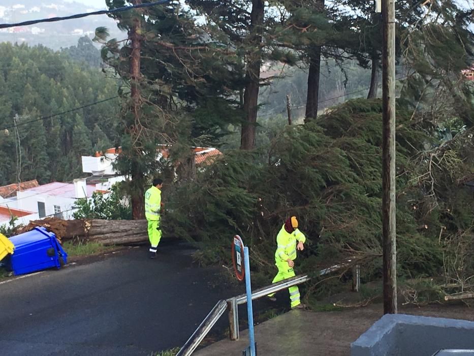 Temporal en Gran Canaria (12/2/2017)