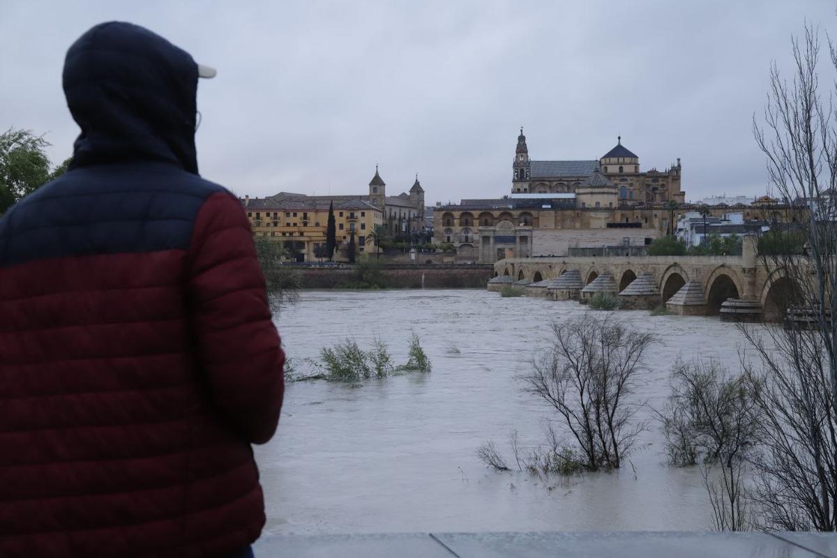 Una persona observa el nivel del río en el Puente Romano de Córdoba.