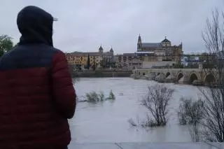 La Aemet apunta ya a este mes de marzo como el más lluvioso de la historia de Córdoba