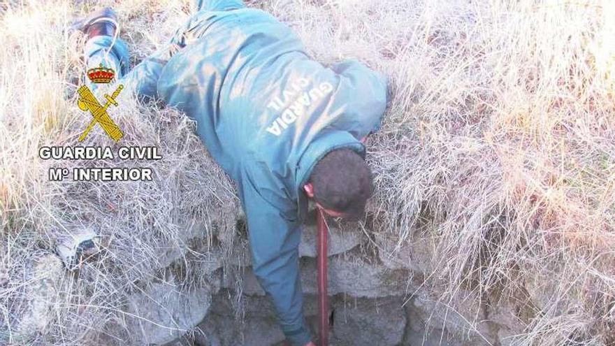 Un agente procede a sacar al animal del pozo.