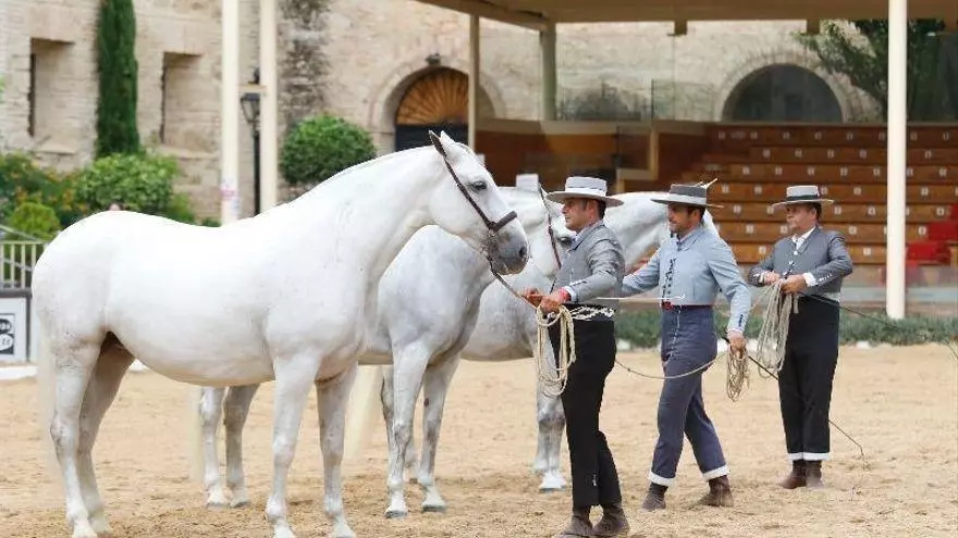 El Ayuntamiento de Córdoba promociona Córdoba como capital del mundo del caballo