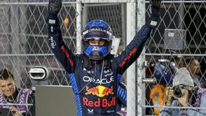Max Verstappen, piloto de Red Bull, celebra su cuarto Mundial de F1.