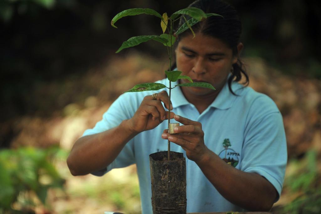 Pueblos indígenas, Costa Rica, Bribri