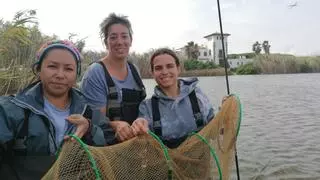 Hallada una población de anguilas abundante en la Ricarda: "Ha sido una sorpresa"