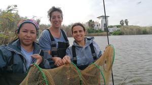 Investigadores del proyecto AnguillaMed capturan ejemplares de anguila en la laguna de la Ricarda