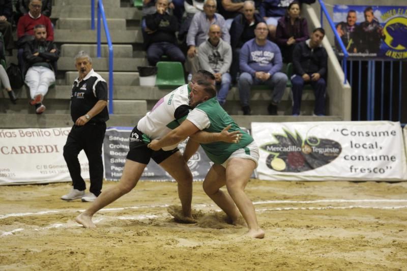 Final de la Liga Cabildo de Segunda categoría de Lucha Canaria  | 14/02/2020 | Fotógrafo: Delia Padrón