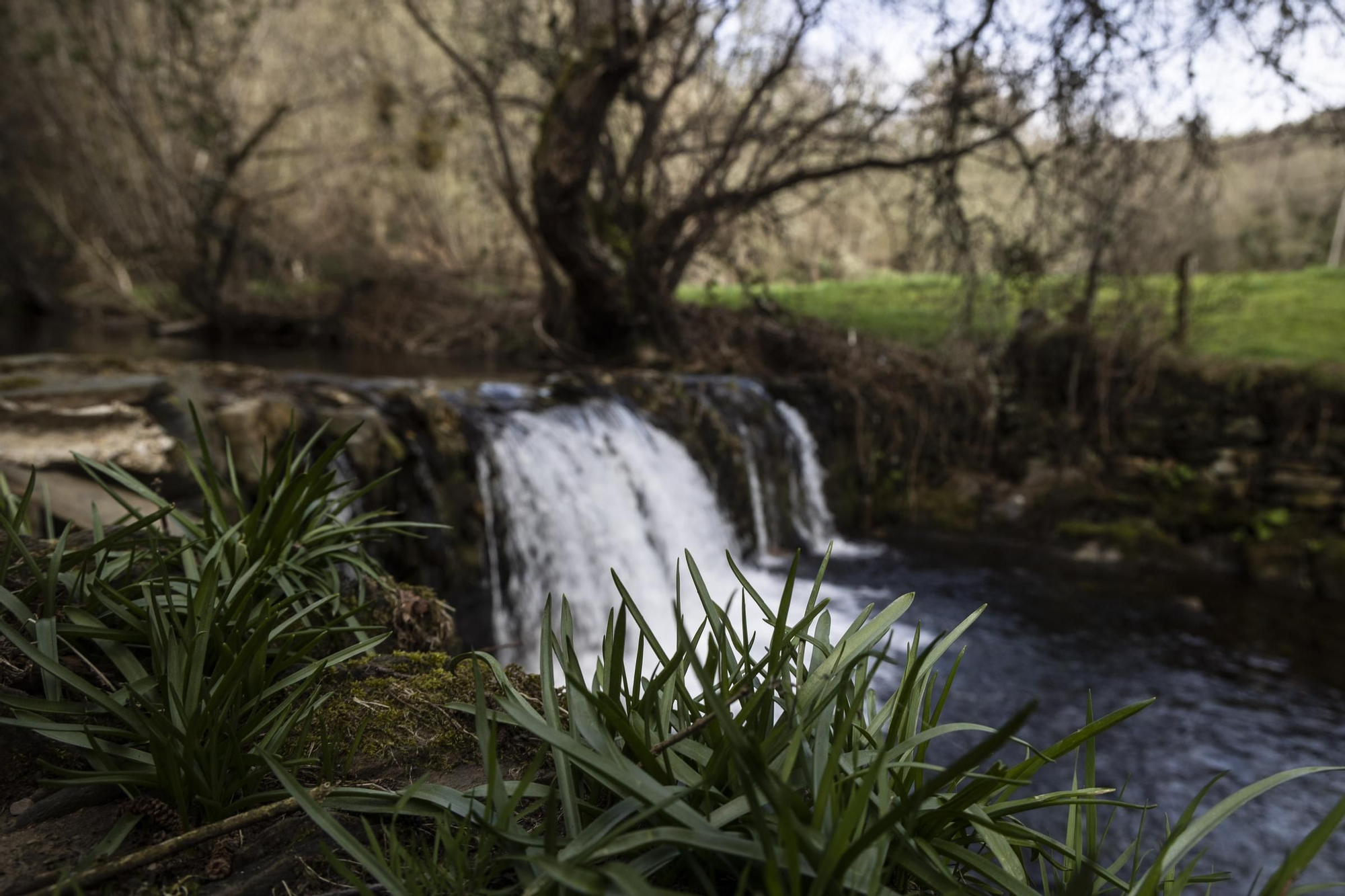 Asturianos en Villanueva de Oscos, un recorrido por el municipio