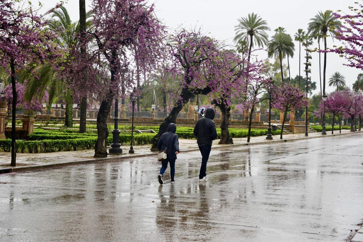 La lluvia será la protagonistaeste fin de semana